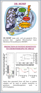 Dose-Response Medicinal Outcome Model Predictor